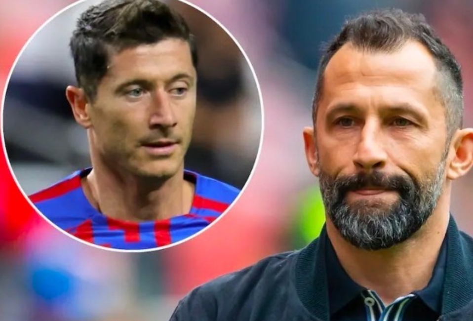 商业价值的 商业价值的